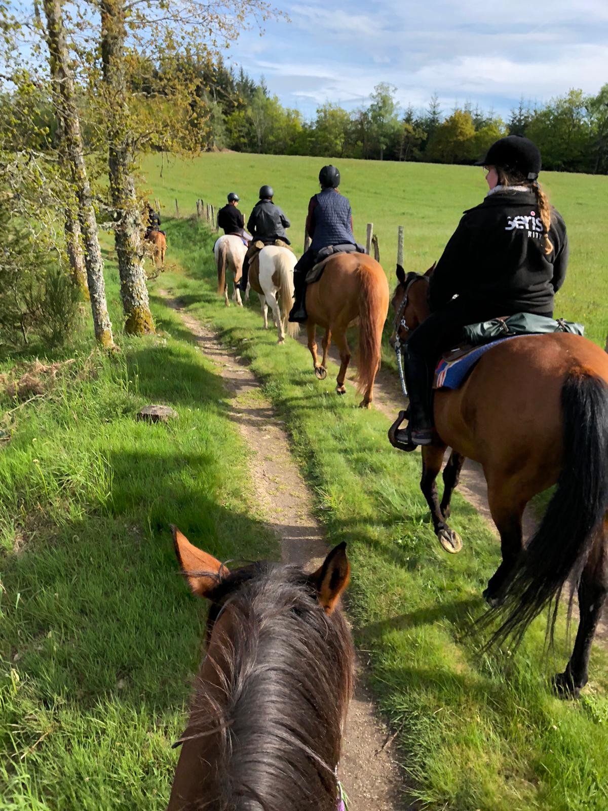 Photo 4 de La Ferme Equestre de Tréphy