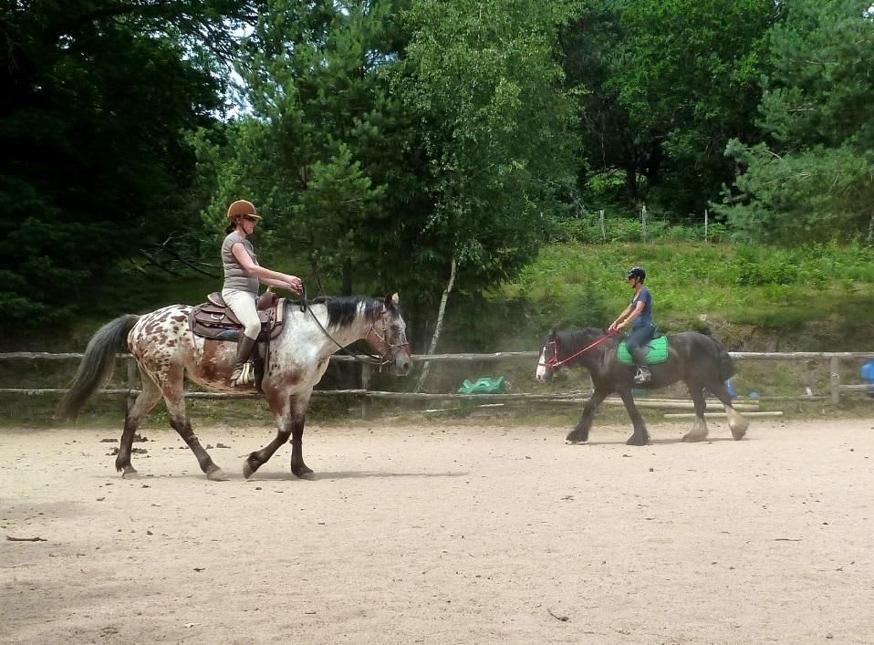 Photo 5 de La Ferme Equestre de Tréphy