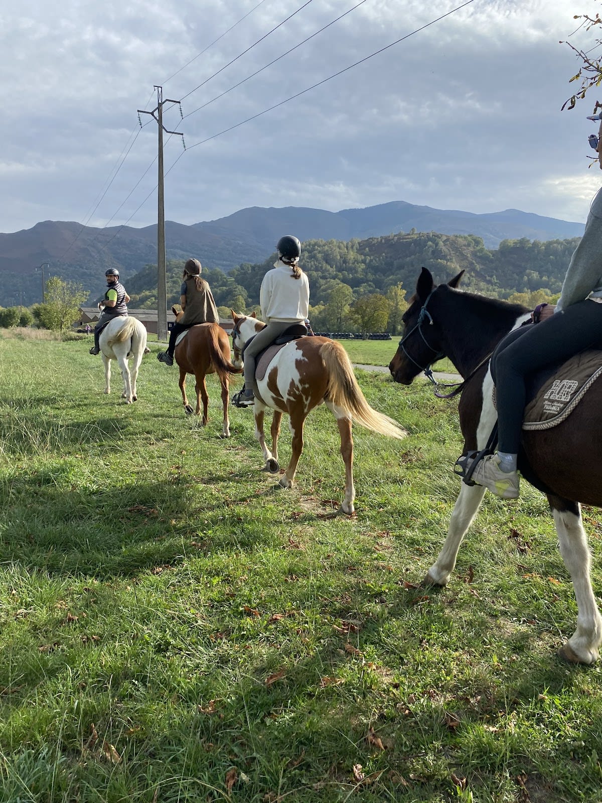 Photo 3 de Ferme Équestre Le Bourdalat
