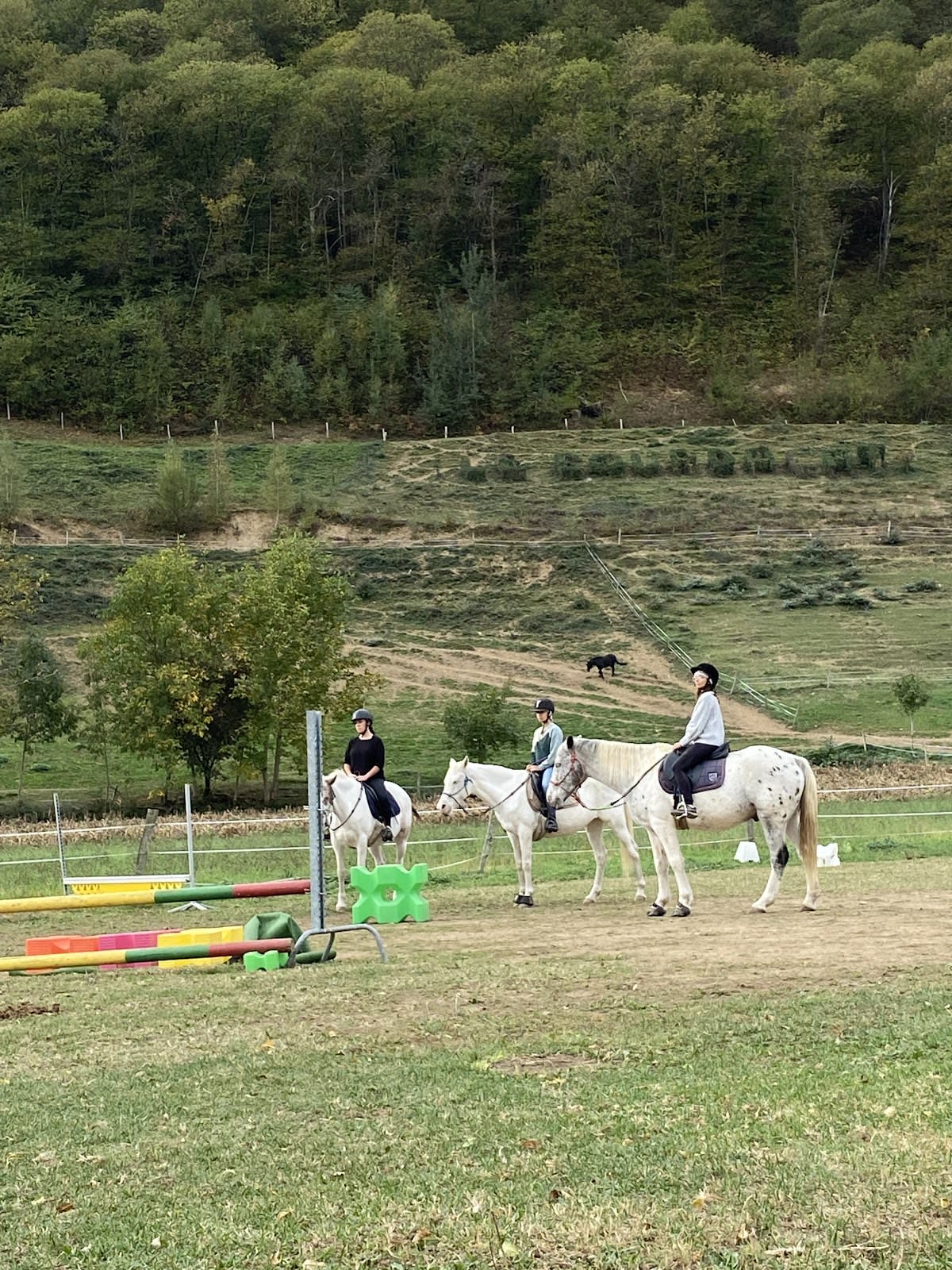 Photo 5 de Ferme Équestre Le Bourdalat