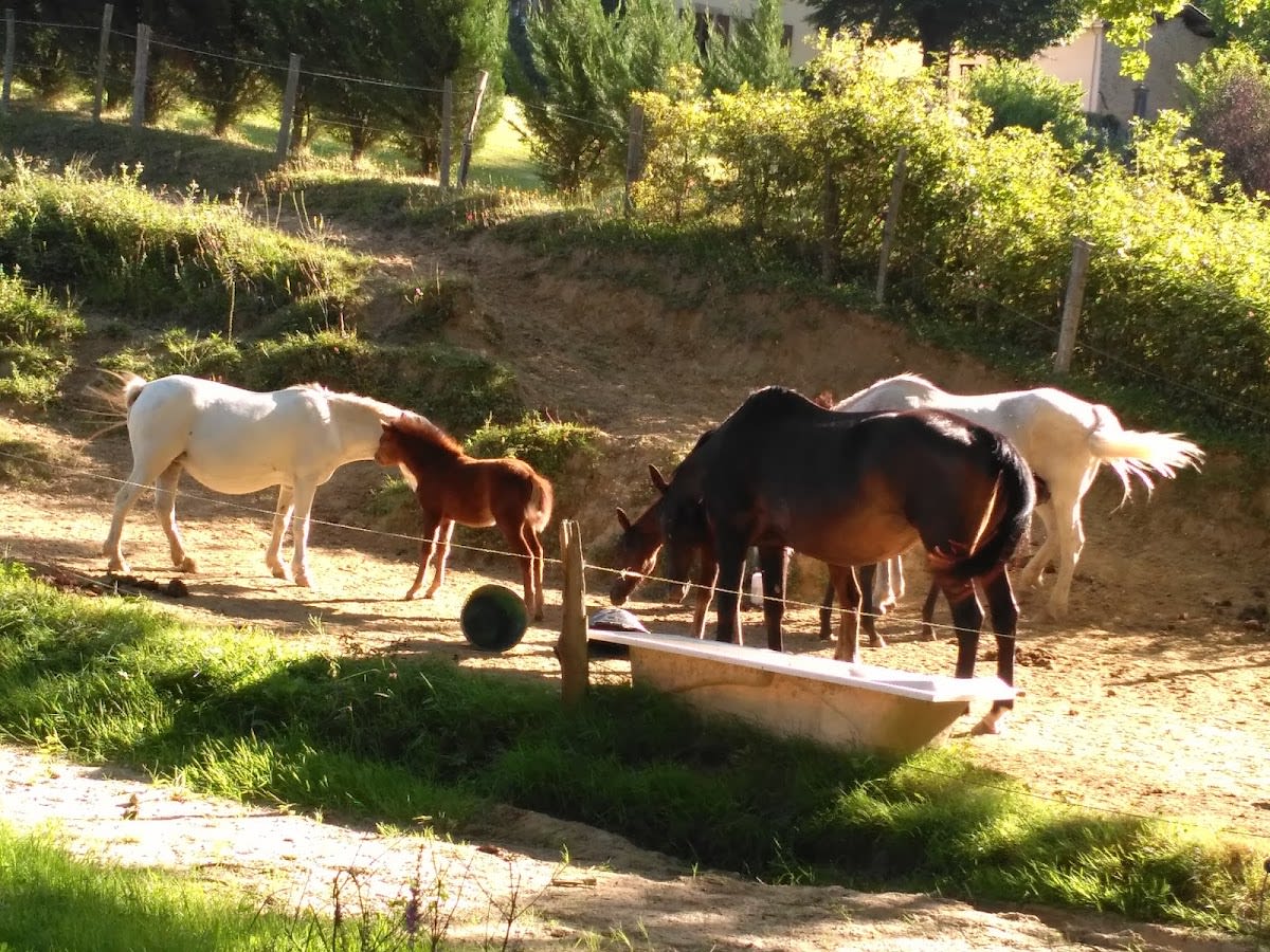 Photo 1 de L'écrin D'éden