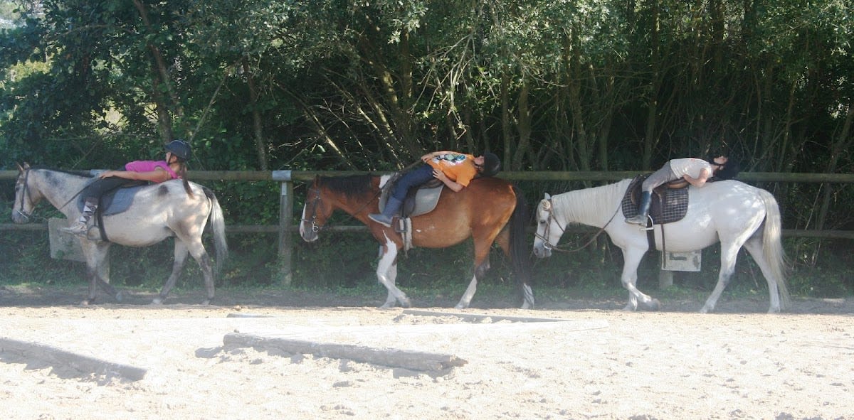 Photo 2 de Centre équestre du Cardin