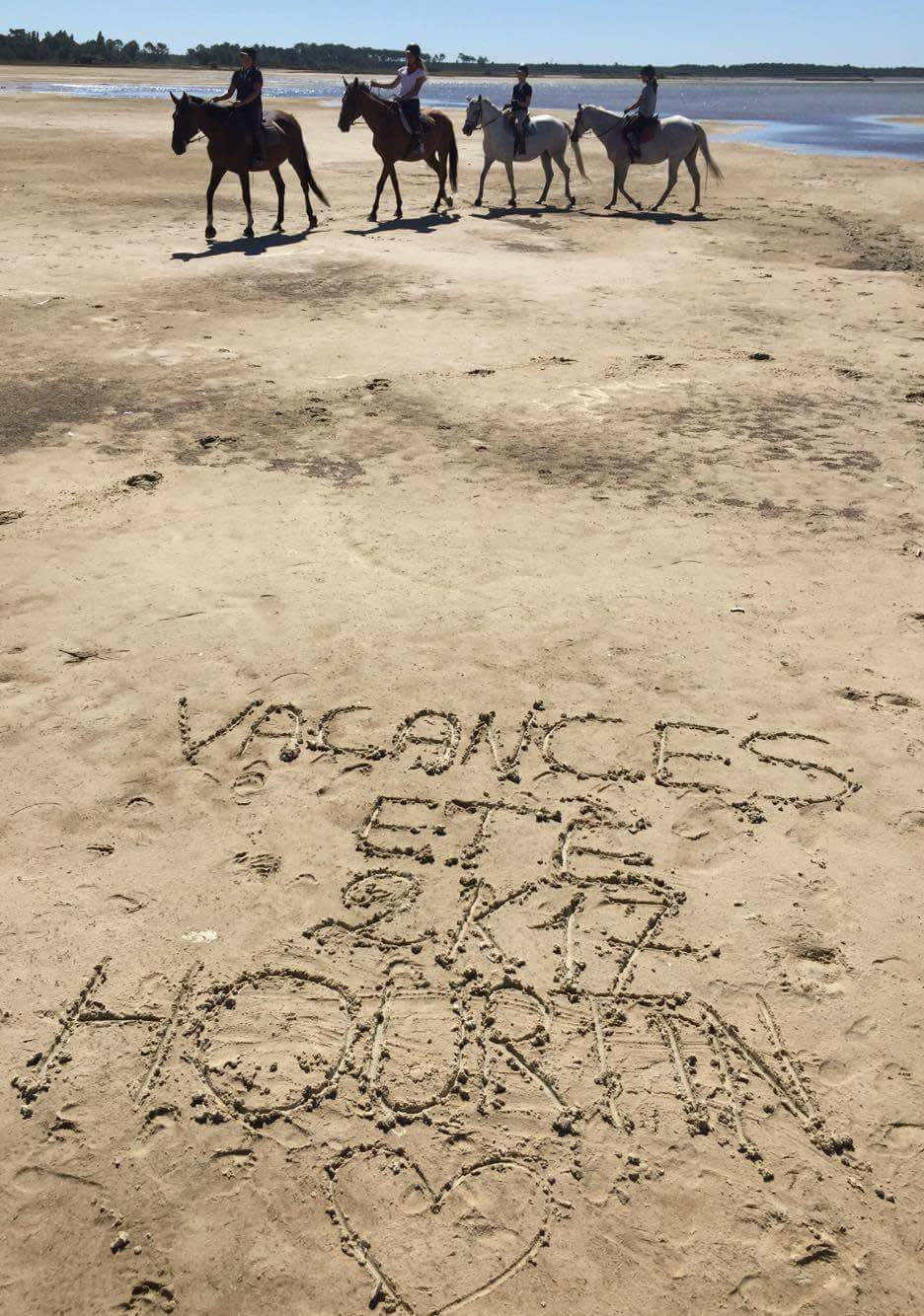 Photo 4 de Centre équestre du Cardin