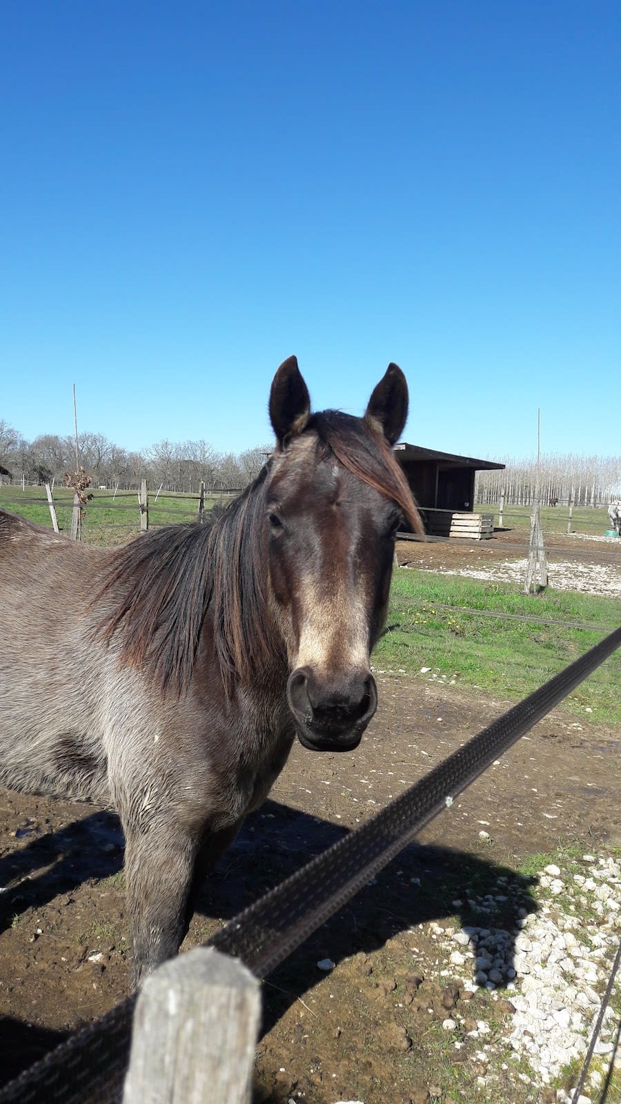 Photo 1 de Domaine équestre du Boscq