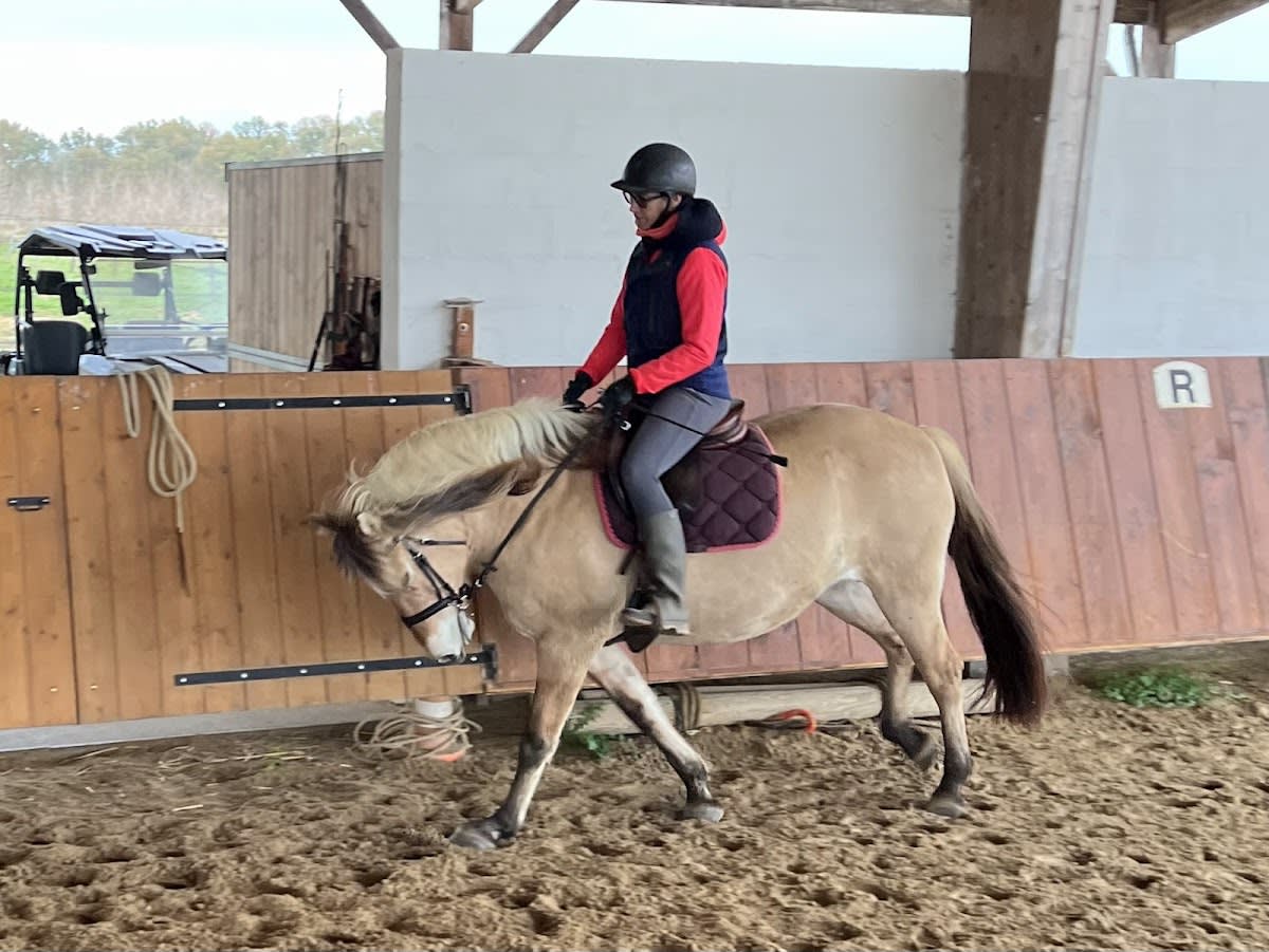 Photo 2 de Domaine équestre du Boscq