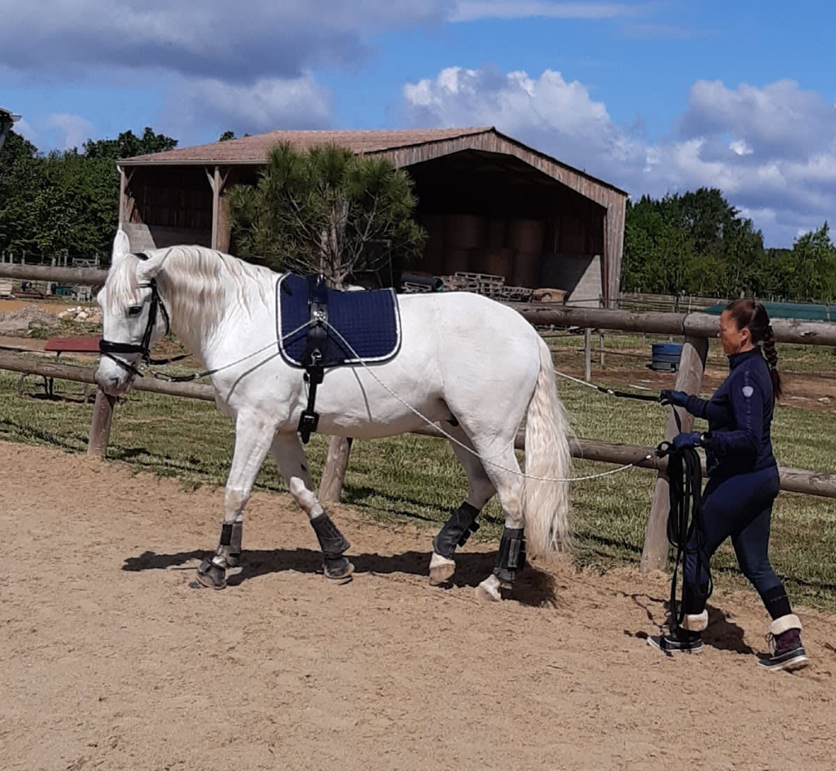 Photo 3 de Domaine équestre du Boscq