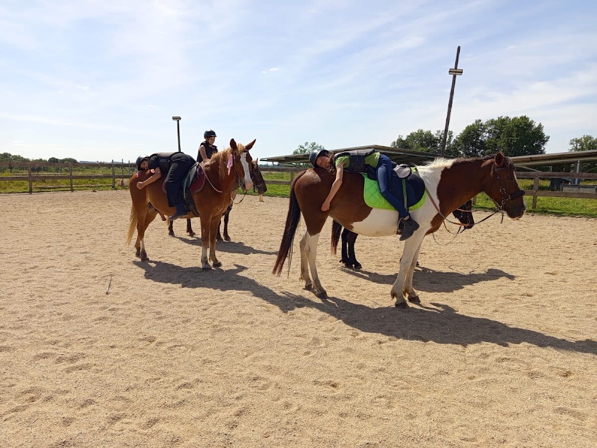 Photo 1 de Les sabots de L'honor