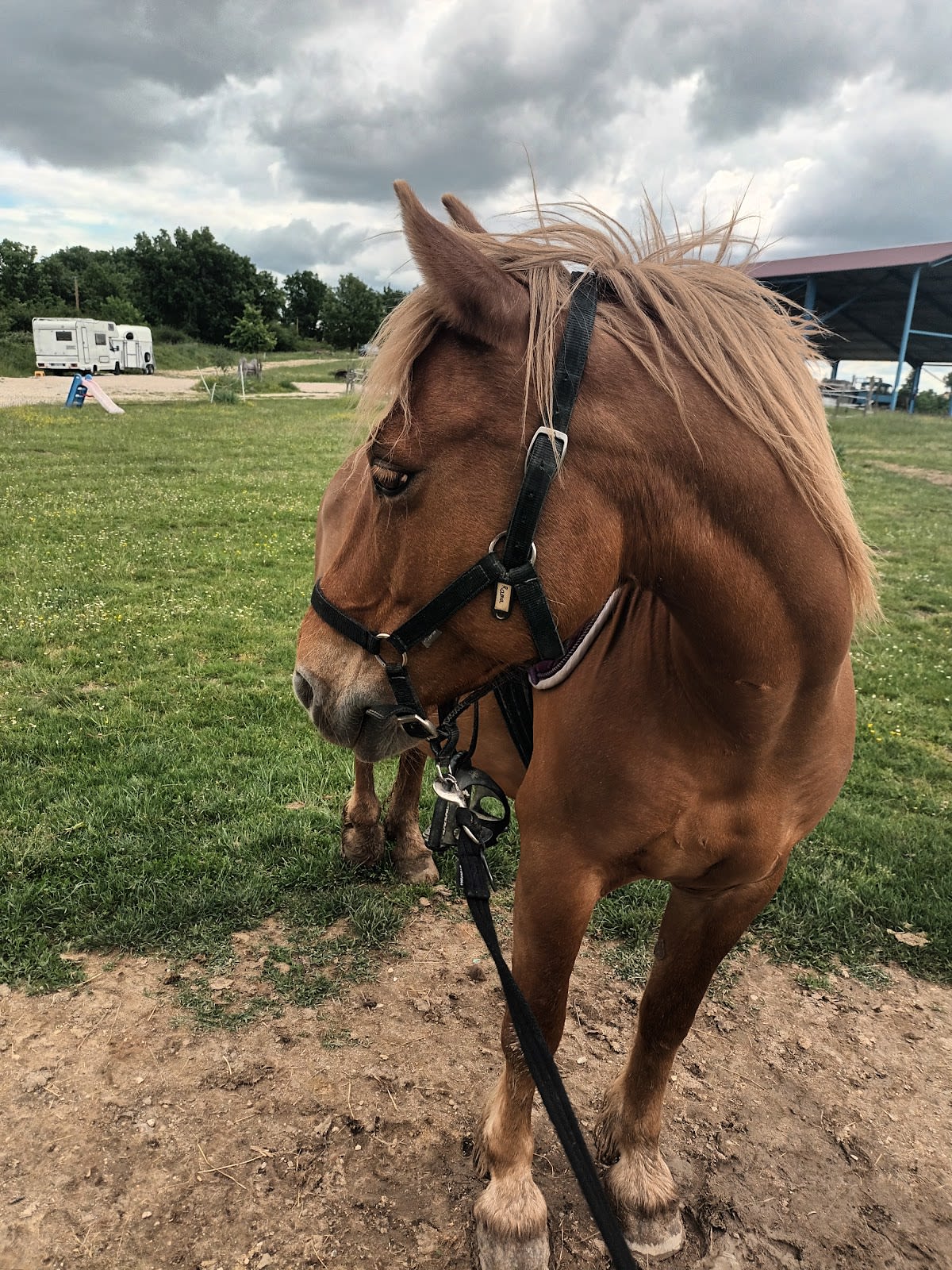 Photo 2 de Les sabots de L'honor