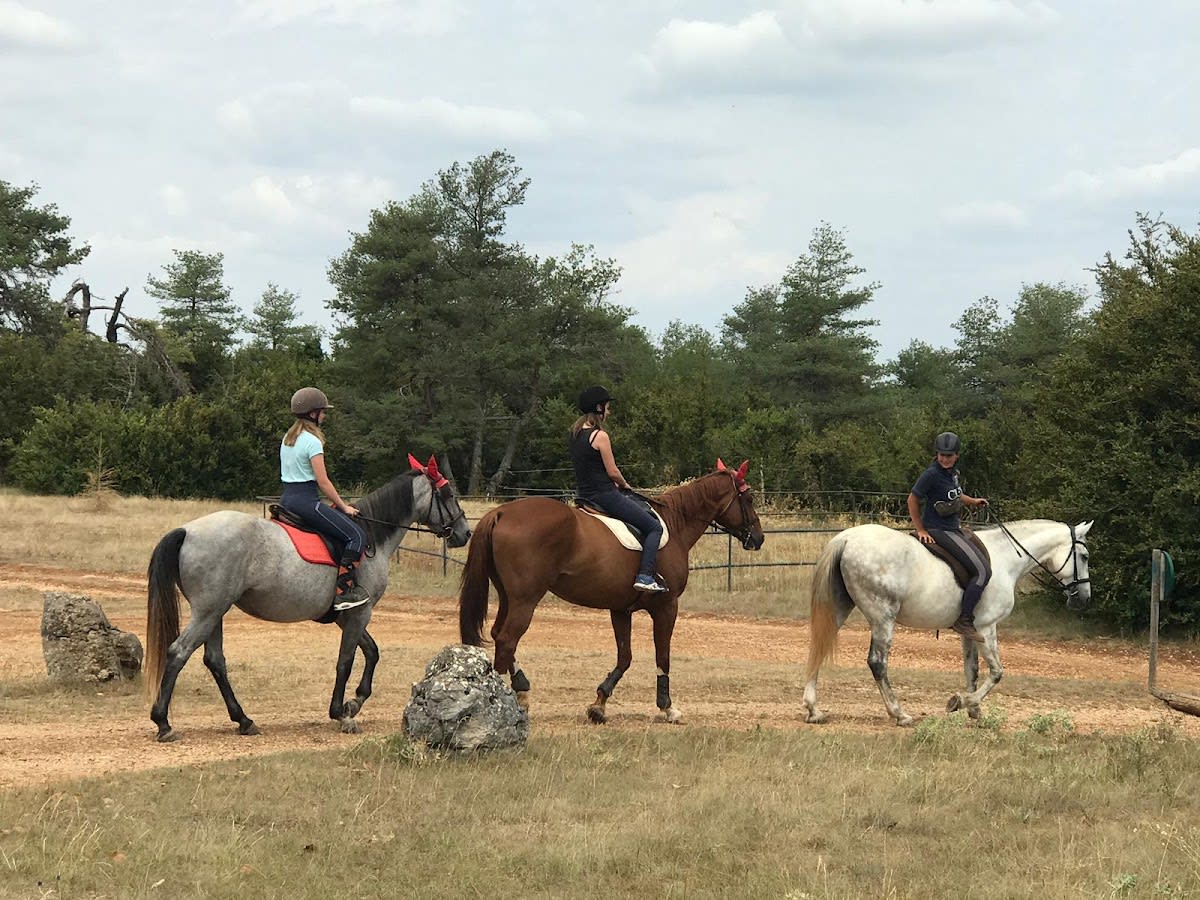 Photo 2 de Centre Equestre Le Sonnac 