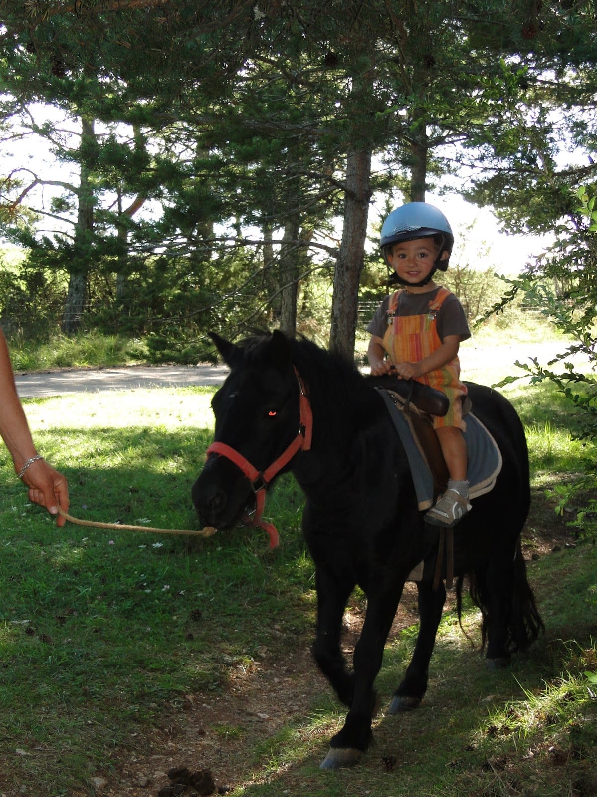 Photo 4 de Centre Equestre Le Sonnac 