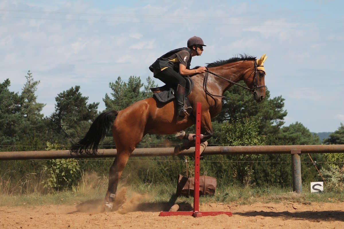 Photo 5 de Centre Equestre Le Sonnac 