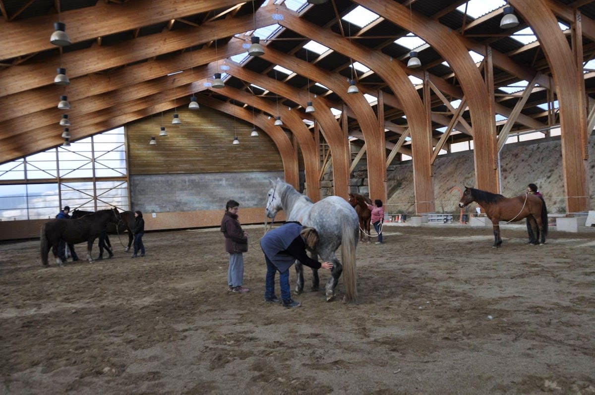 Photo 2 de Equitation Ethologique Alteyrac 