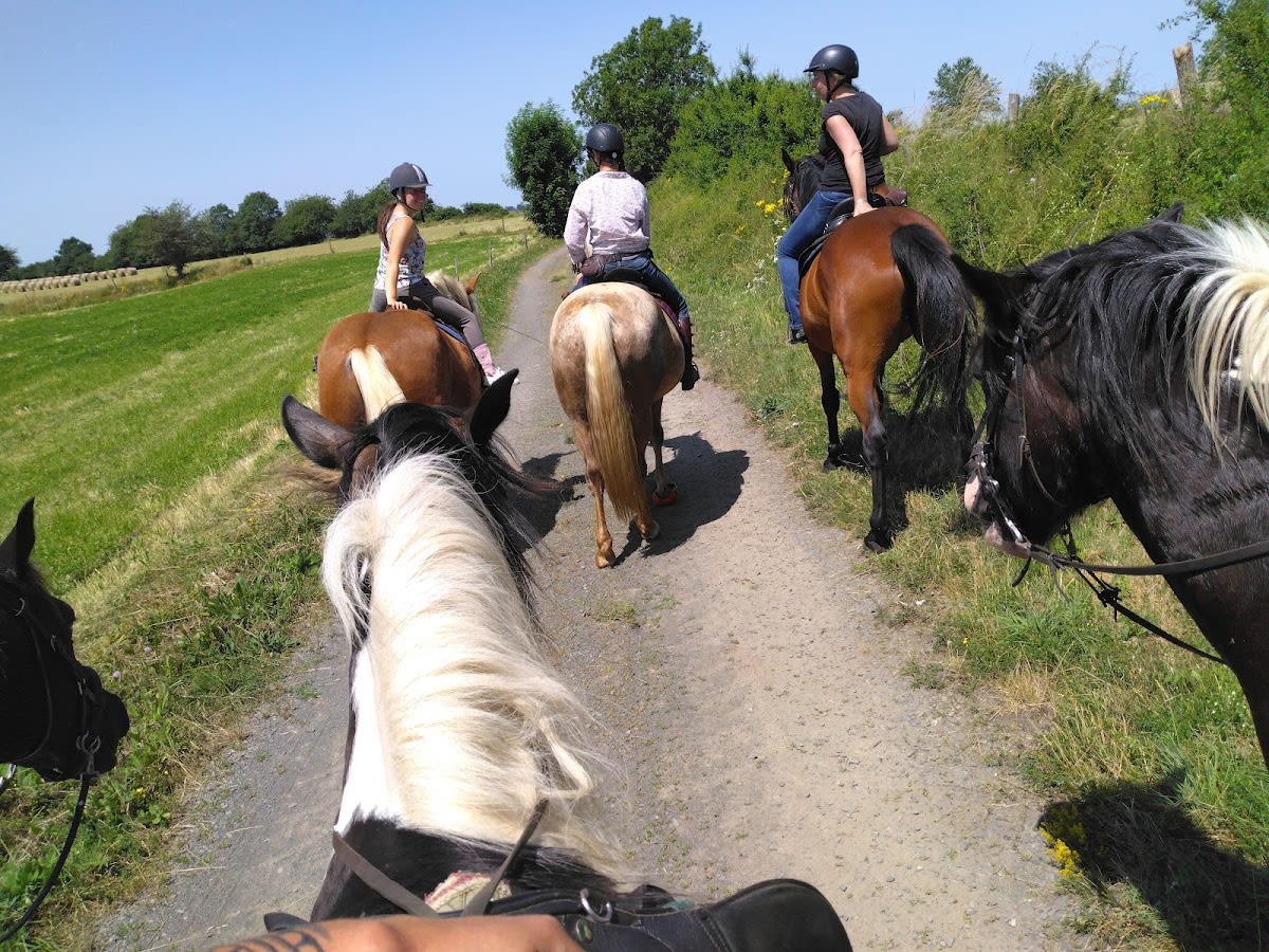 Photo 3 de Centre Equestre de Chabridet