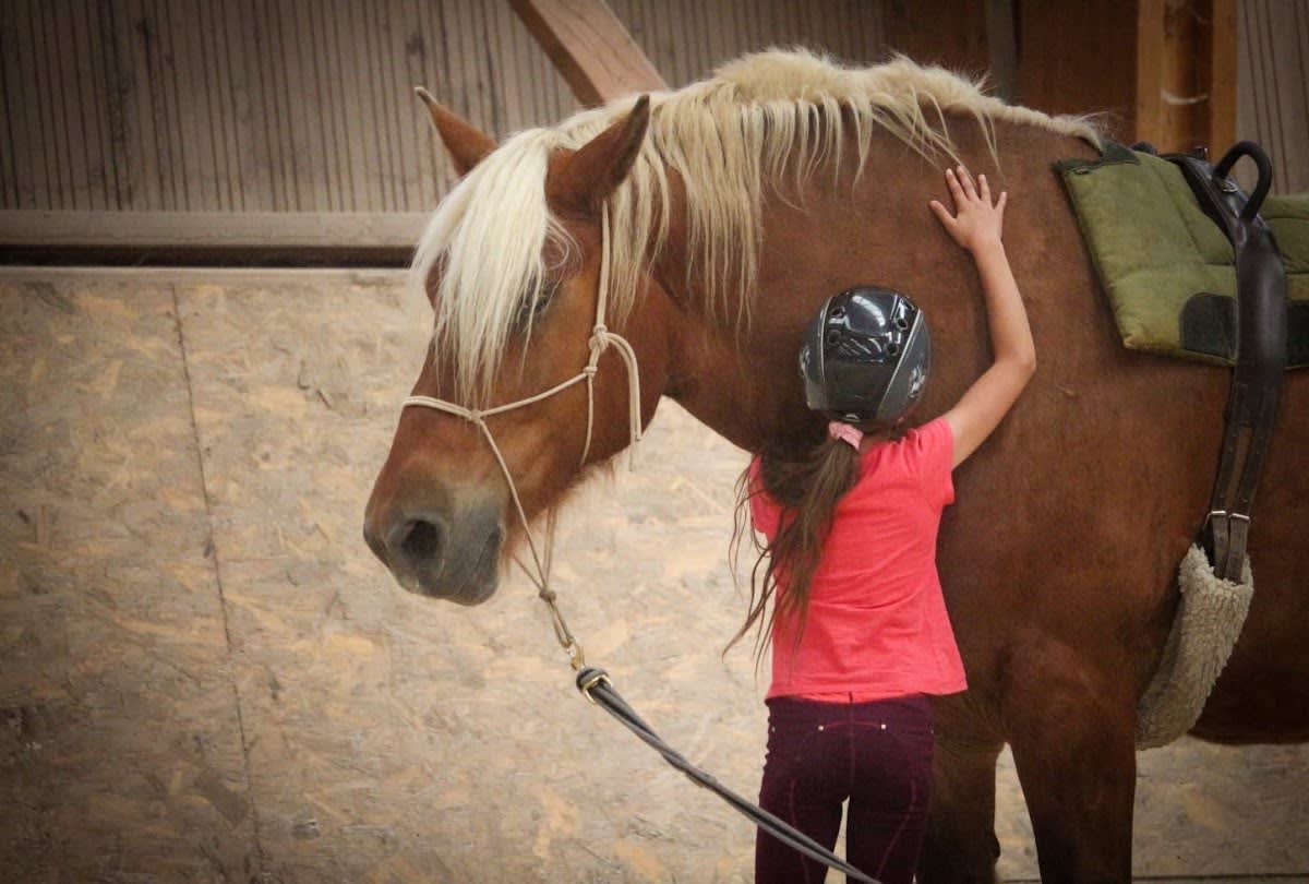 Photo 4 de Centre Equestre de Chabridet
