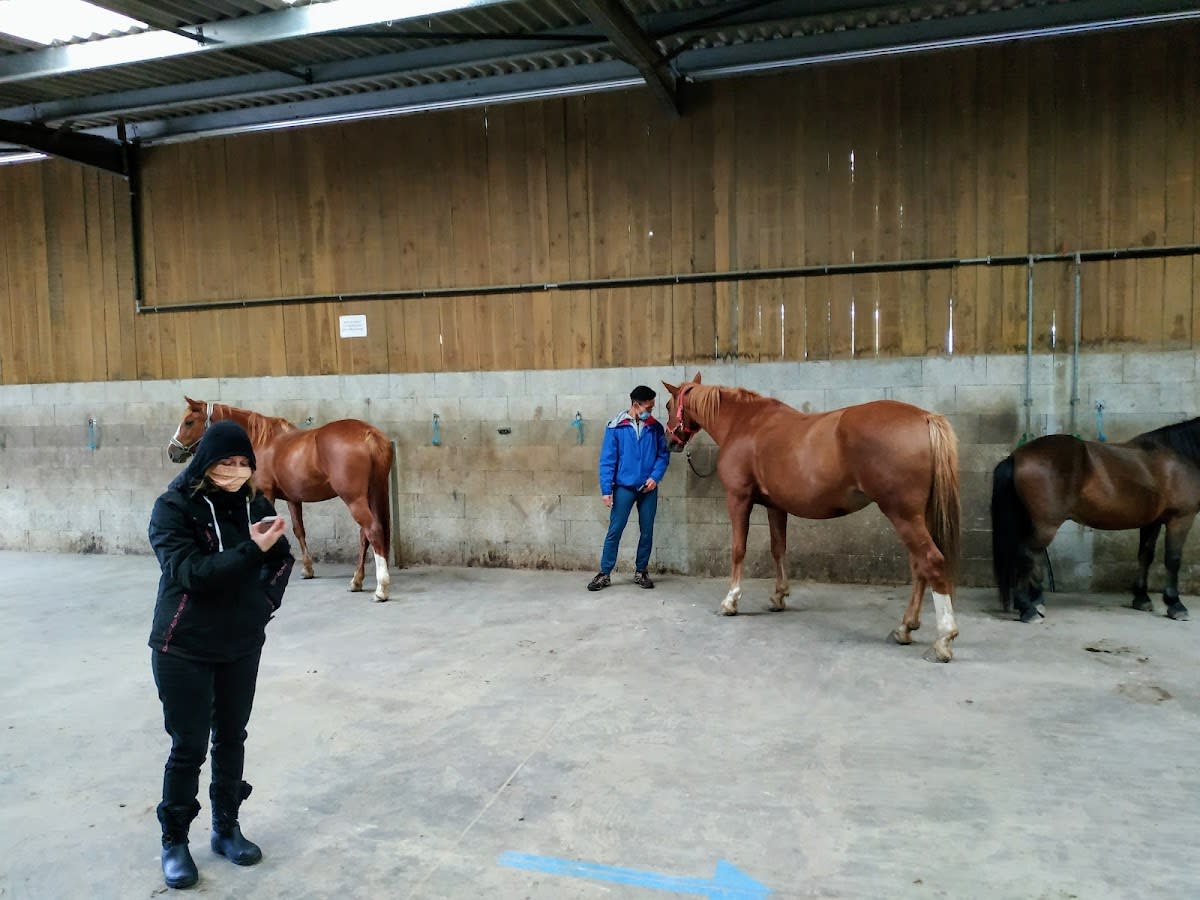 Photo 2 de Centre équestre des Monts d'or