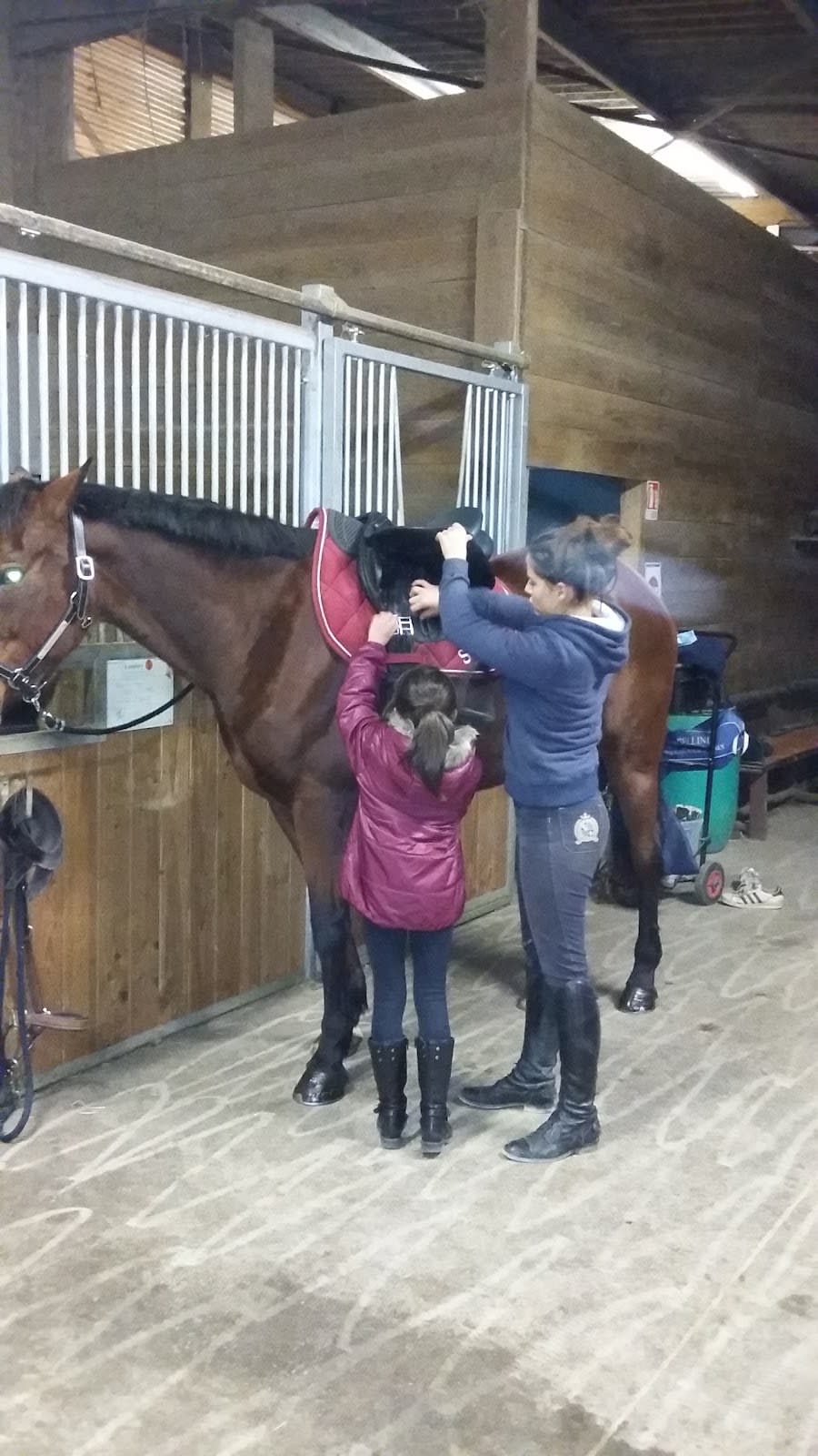 Photo 5 de Centre équestre des Monts d'or