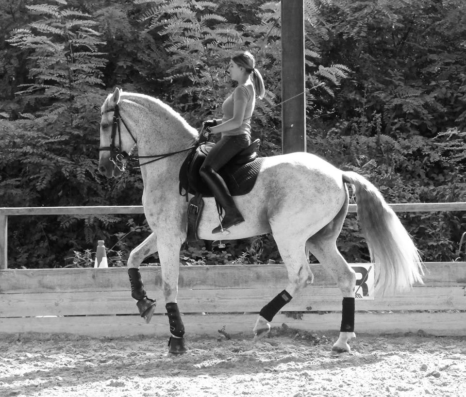 Photo 4 de Centre Equestre La Cavalcade