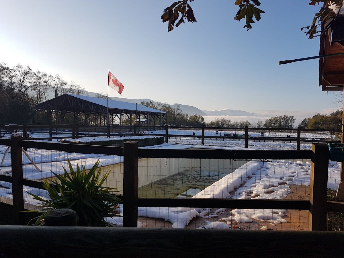 Photo 5 de Centre Equestre La Cavalcade