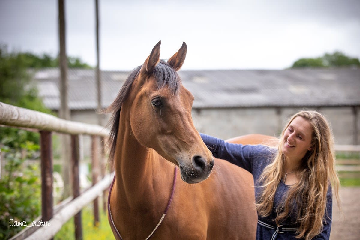 Photo 2 de Art'CrAc équitation