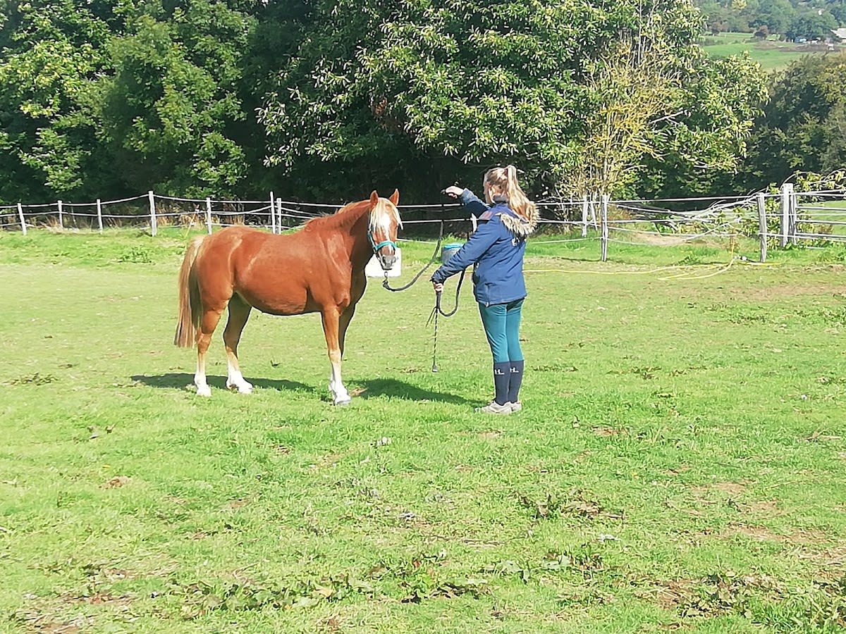 Photo 3 de Art'CrAc équitation