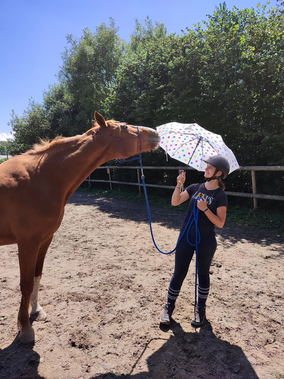 Photo 5 de Art'CrAc équitation