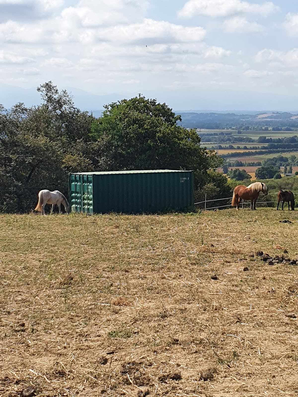 Photo 1 de L'éthologie Dans la Pau