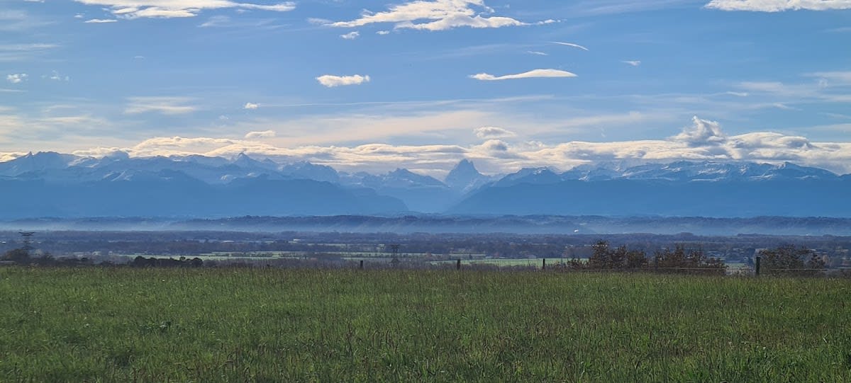 Photo 2 de L'éthologie Dans la Pau
