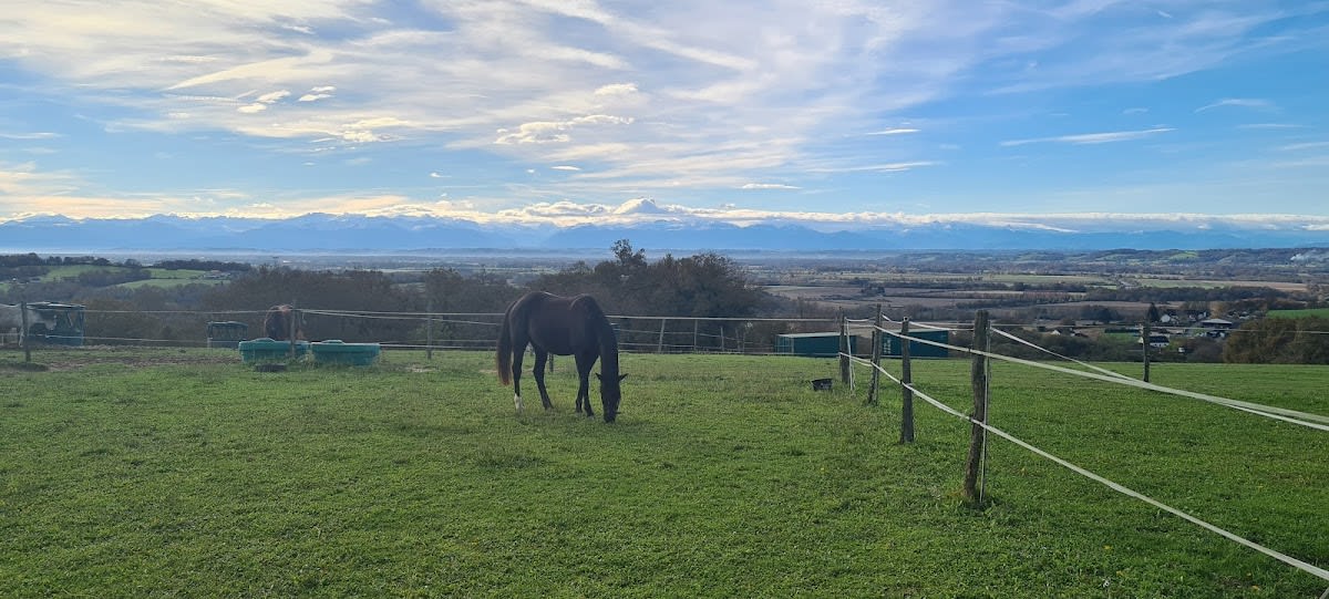 Photo 5 de L'éthologie Dans la Pau