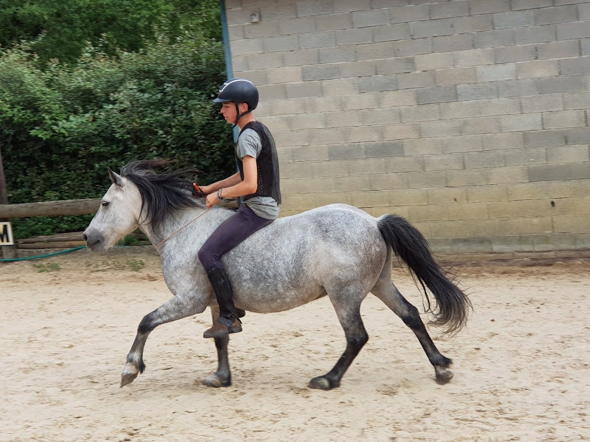 Photo 1 de Les Ecuries De La Futaie