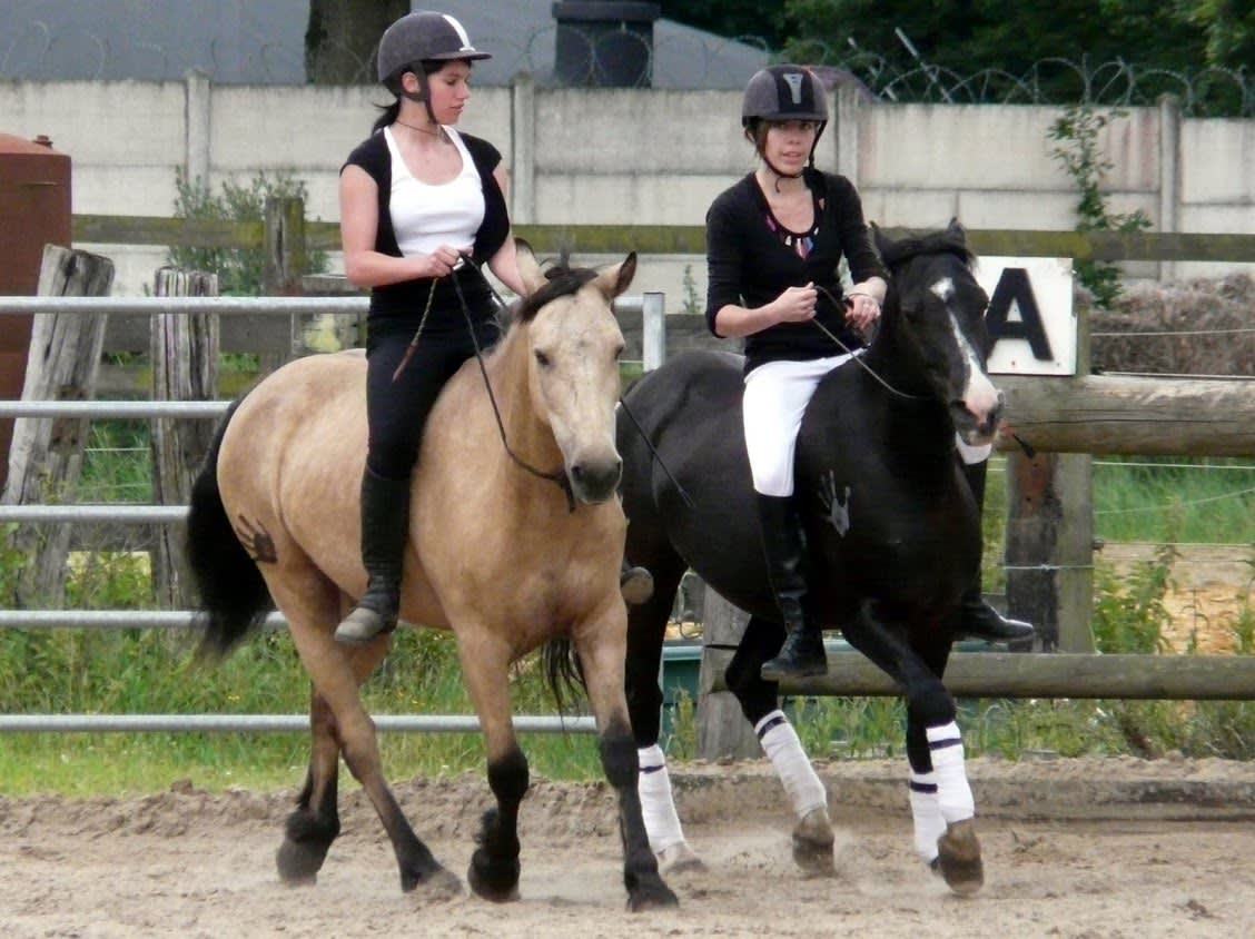 Photo 2 de Les Ecuries De La Futaie