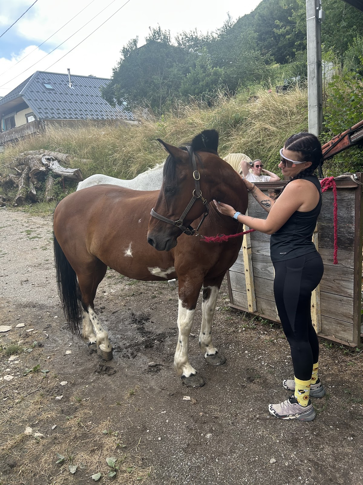 Photo 2 de Les chevaux de la diamanterie