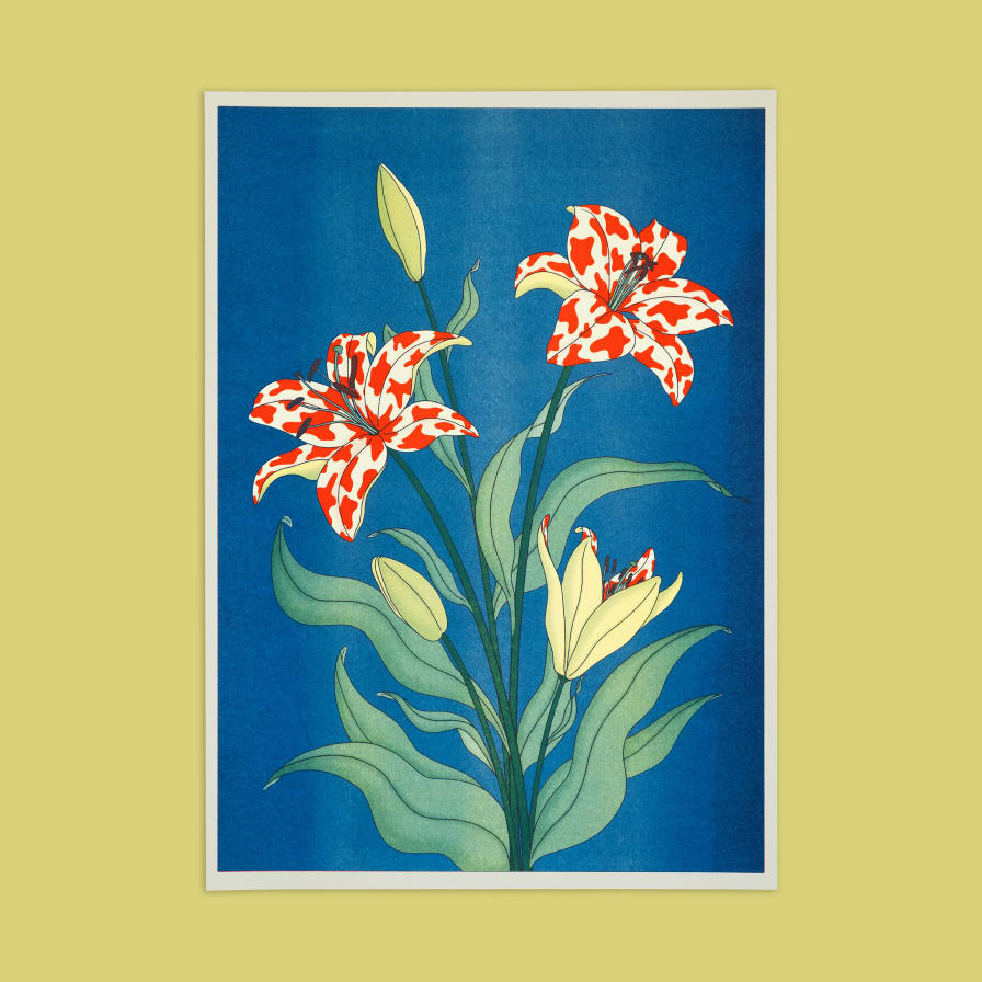 The Naughty District-0