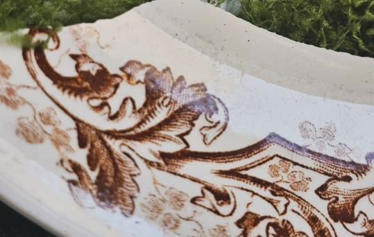 Les Curiosités d'Artémis