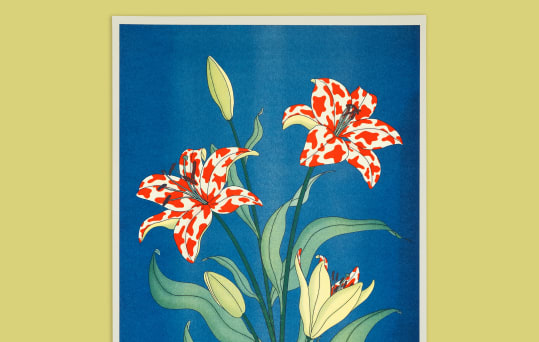 The Naughty District