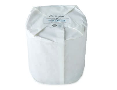 Stilton Artesano Hartington DOP