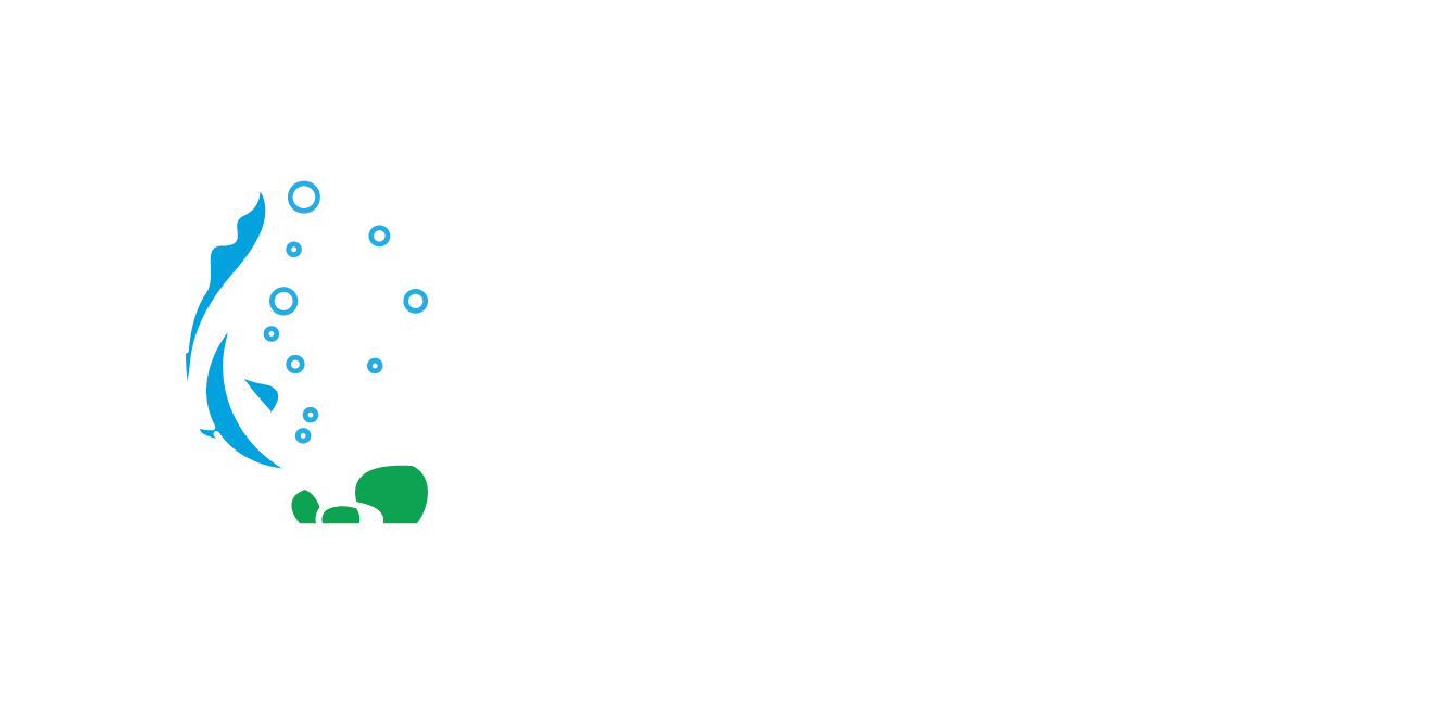 eaquatique 2