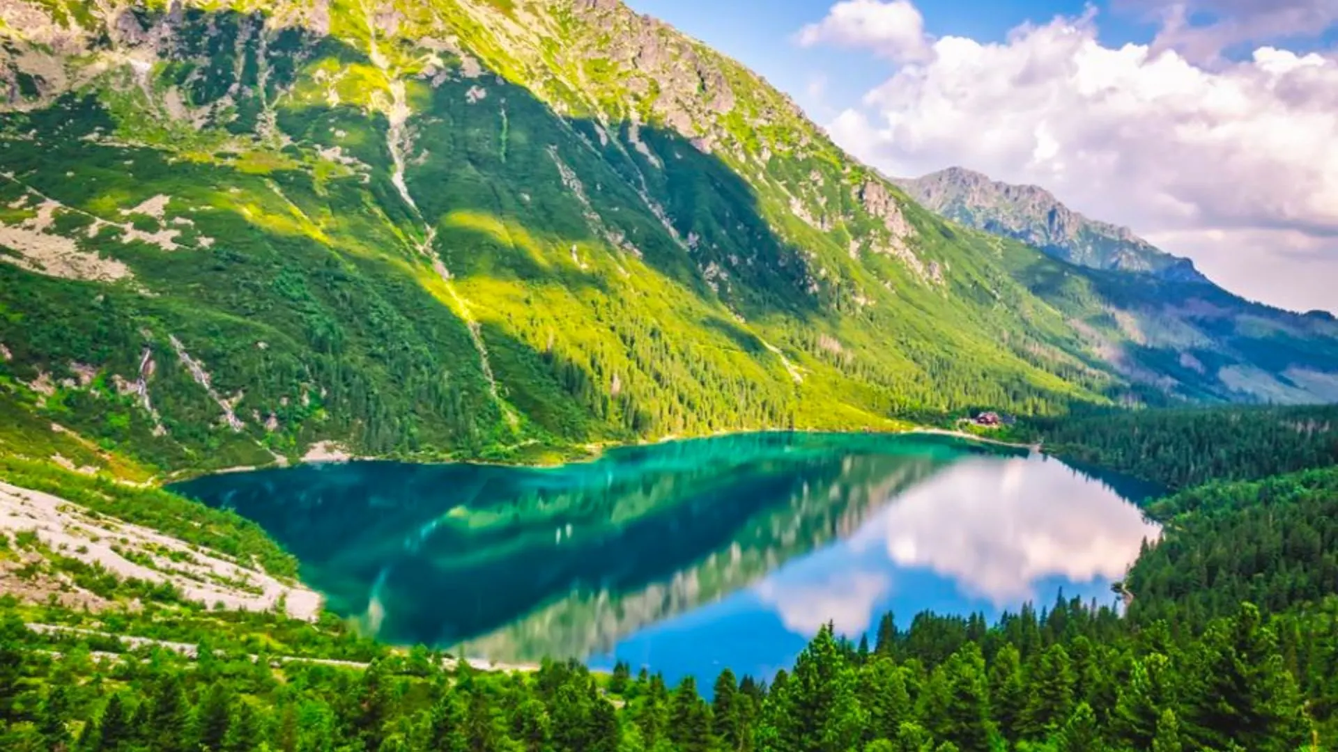 Zaręczyny Zakopane