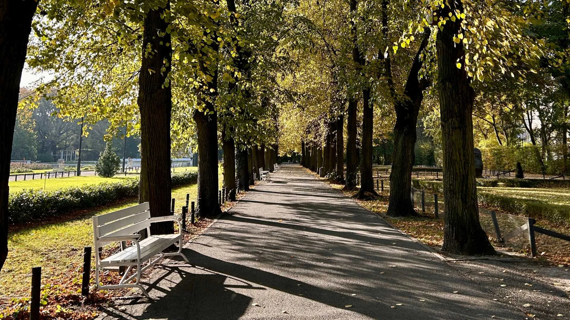 park