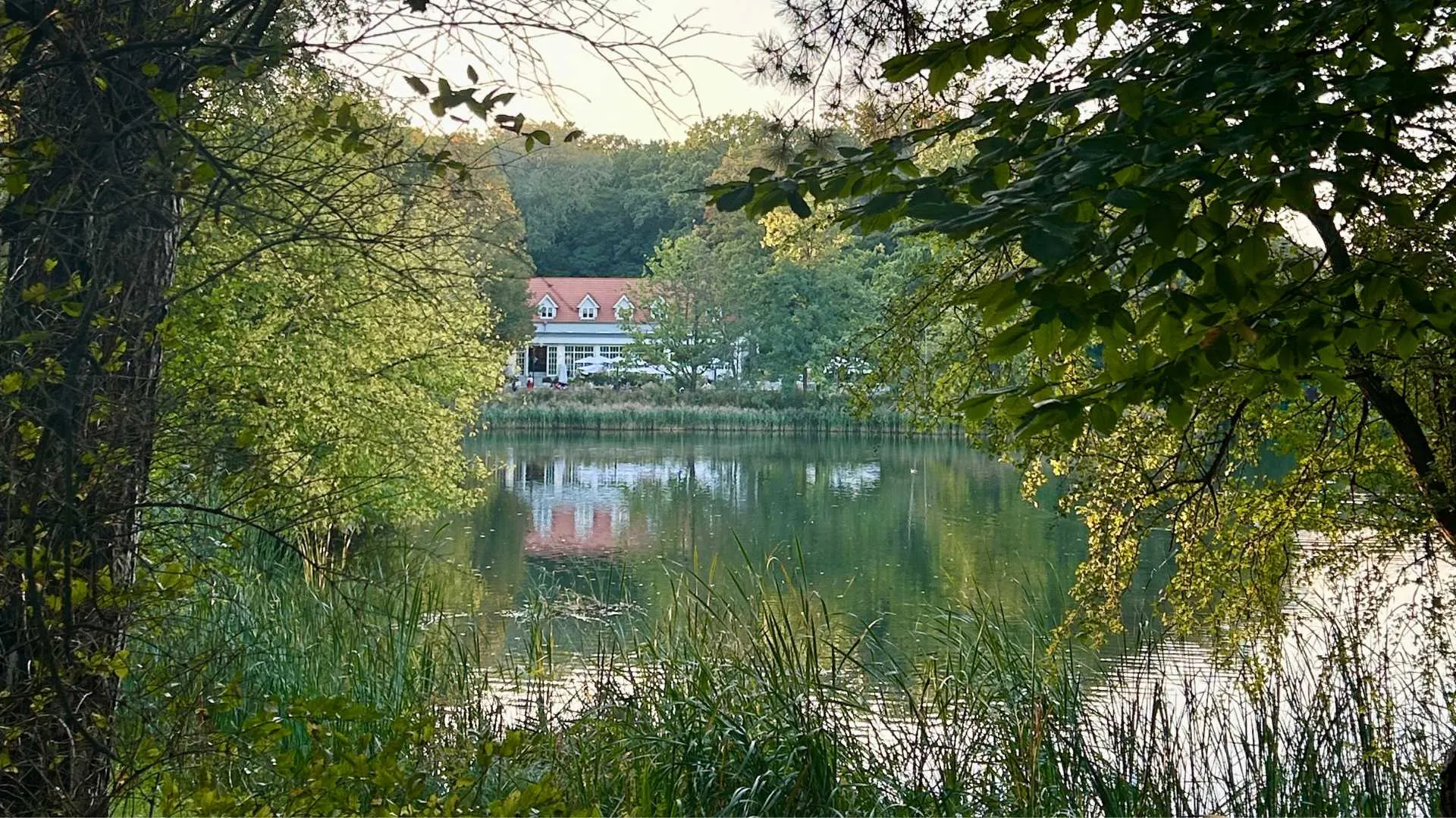 park
