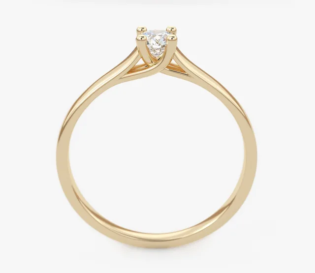 Spring Rose 0,23 ct2