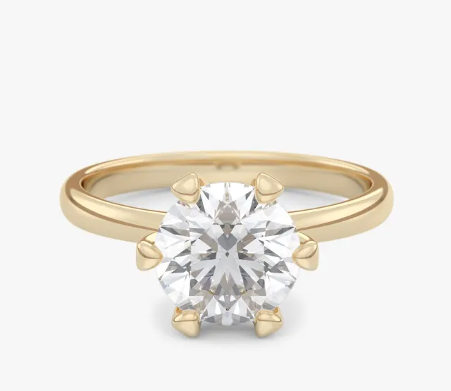 Beloved Six 1,00 ct4