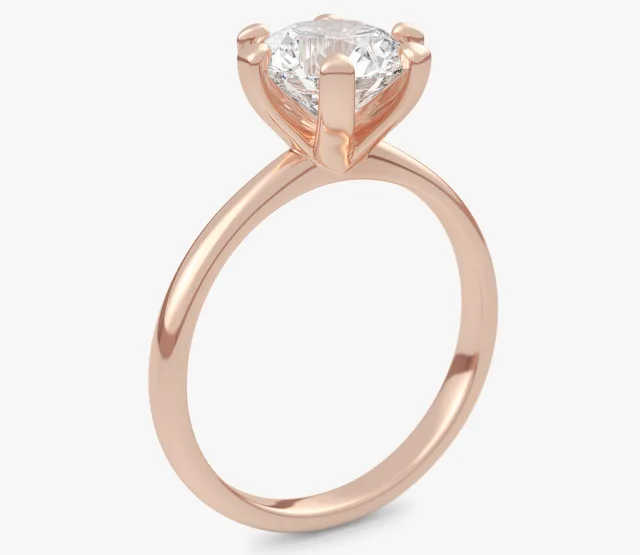 Beloved Six 1,00 ct3