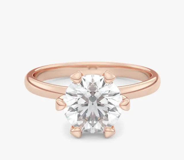 Beloved Six 1,00 ct4
