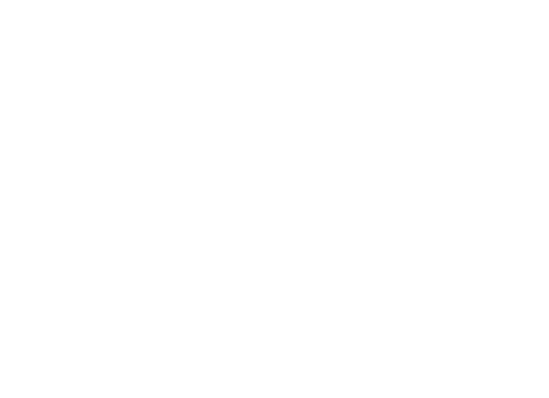 Emily in Paris Collection
