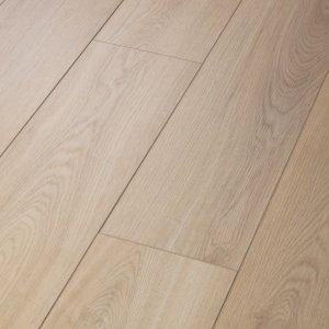 Distinction Plus
