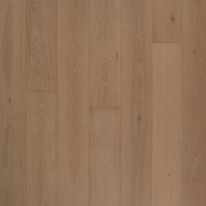 The French Connection