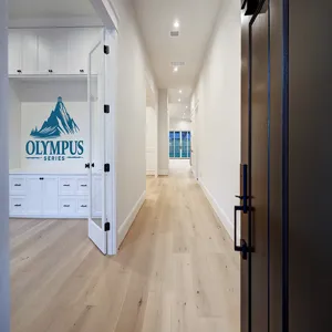 Olympus   Gallery