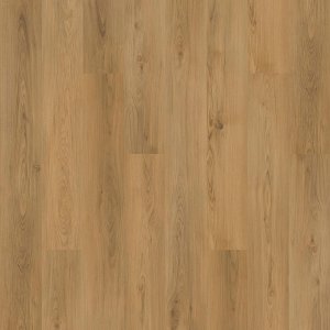 Solidtech Plus Barker Hollow