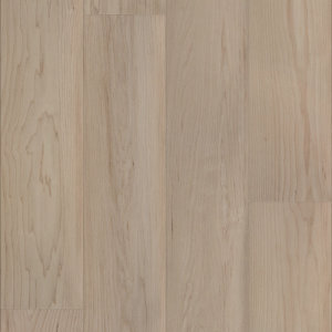Coastal Dune Maple