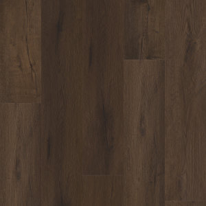 Midnight Oak